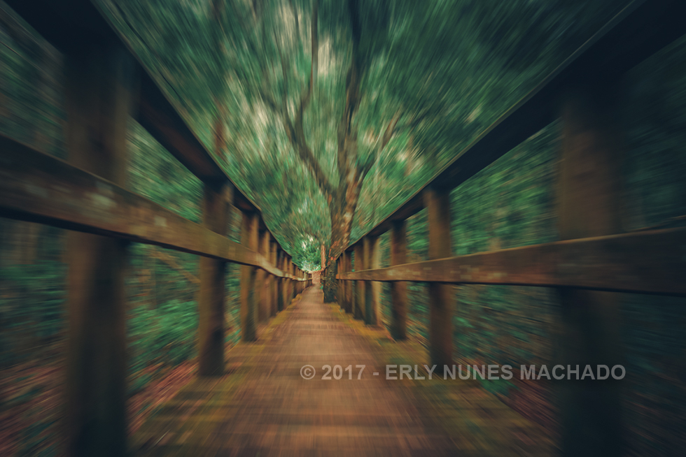 Em algum lugar no Interior de Anchieta -  Espírito Santo