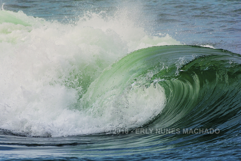 Wave - Guarapari - Espírito Santo