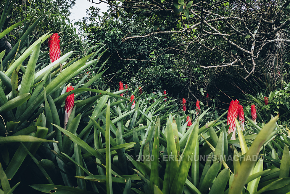 Em algum lugar de Anchieta - Espírito Santo